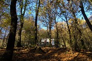 Alla ‘Madunina del Giong’ e ai Prati Parini ad anello da Botta di Sedrina il 12 nov. 2016 - FOTOGALLERY